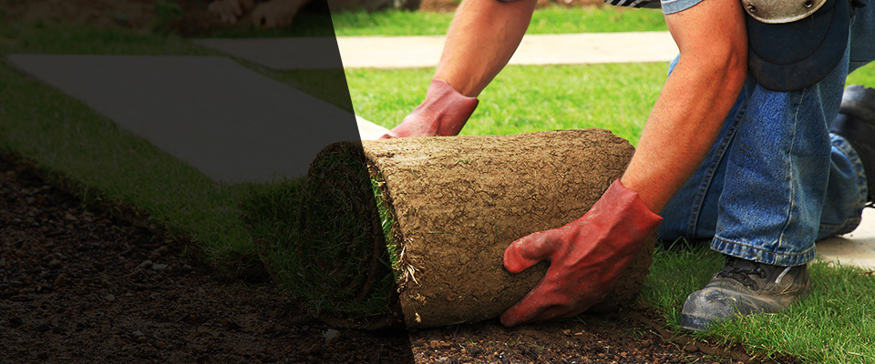 Edgartown Landscapers